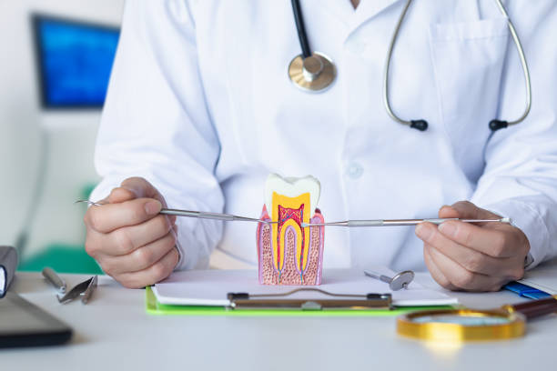 Best Emergency Treatment for Toothache in Royal Pines, NC